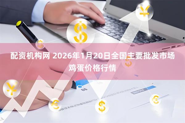 配资机构网 2026年1月20日全国主要批发市场鸡蛋价格行情