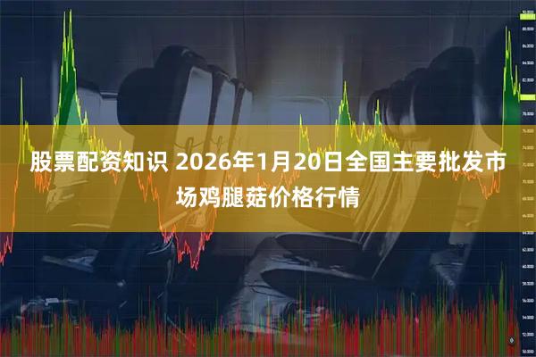 股票配资知识 2026年1月20日全国主要批发市场鸡腿菇价格行情