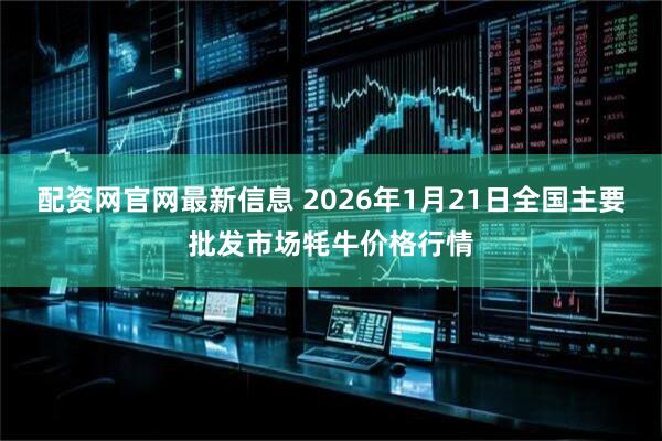 配资网官网最新信息 2026年1月21日全国主要批发市场牦牛价格行情