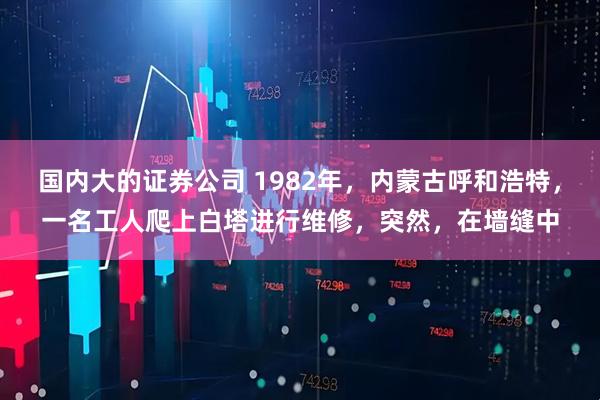 国内大的证券公司 1982年，内蒙古呼和浩特，一名工人爬上白塔进行维修，突然，在墙缝中