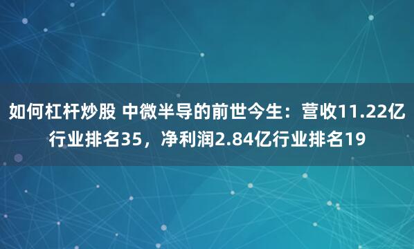 如何杠杆炒股 中微半导的前世今生：营收11.22亿行业排名35，净利润2.84亿行业排名19