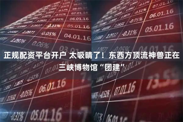 正规配资平台开户 太吸睛了！东西方顶流神兽正在三峡博物馆“团建”